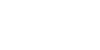 Illustrated shoe